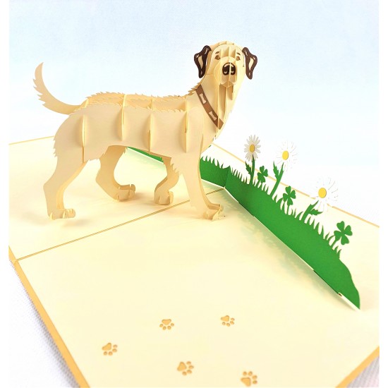 Handmade 3D Pop Up Card Labrador dog pet friend Birthday Father's Mother's Day Wedding Anniversary Valentine's Blank 