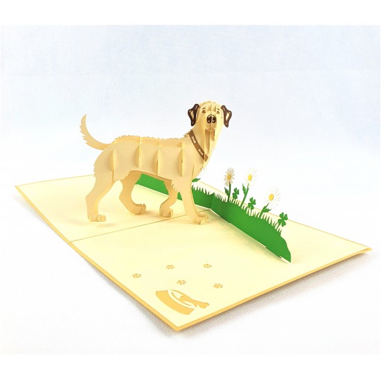 Handmade 3D Pop Up Card Labrador dog pet friend Birthday Father's Mother's Day Wedding Anniversary Valentine's Blank 