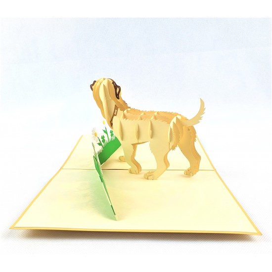 Handmade 3D Pop Up Card Labrador dog pet friend Birthday Father's Mother's Day Wedding Anniversary Valentine's Blank 