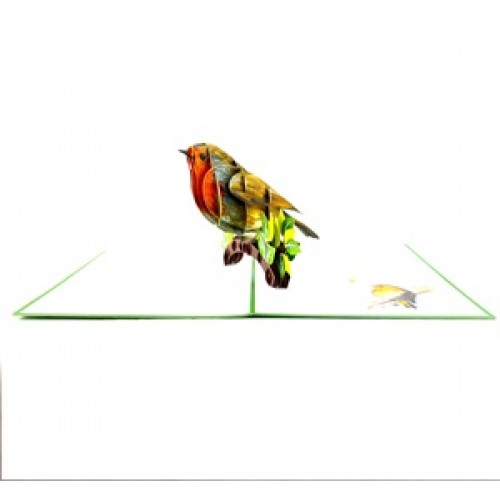 Handmade 3D Pop Up Card Robin, Birthday, Valentine’s Day, Wedding Anniversary, Christmas, Good Luck, Blank Card