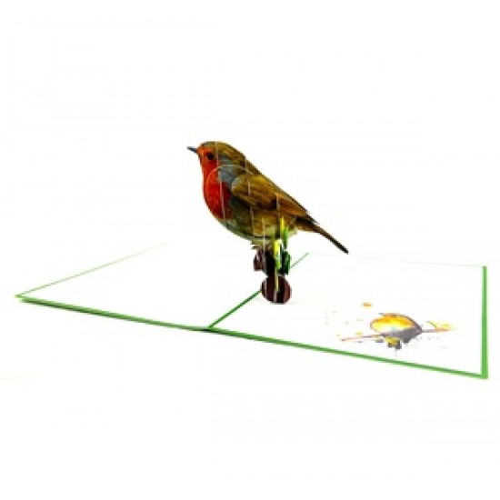 Handmade 3D Pop Up Card Robin, Birthday, Valentine’s Day, Wedding Anniversary, Christmas, Good Luck, Blank Card
