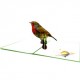 Handmade 3D Pop Up Card Robin, Birthday, Valentine’s Day, Wedding Anniversary, Christmas, Good Luck, Blank Card