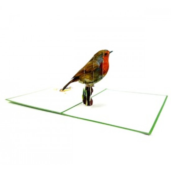 Handmade 3D Pop Up Card Robin, Birthday, Valentine’s Day, Wedding Anniversary, Christmas, Good Luck, Blank Card