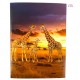 BC Worldwide Ltd Handmade 3D Pop Up Card Giraffe Family Birthday Mother Father Holiday Blank BC Worldwide Ltd Handmade 3D Pop Up Card Giraffe Family Birthday Mother Father Holiday Blank