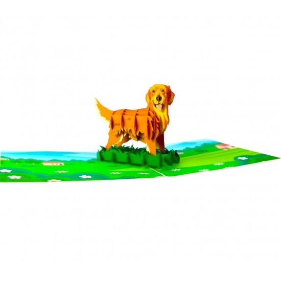 BC Worldwide Ltd Handmade 3D Pop Up Card Golden Retriever Dog Pet Birthday Valentines Mother’s Father's Day New Pet Blank Friendship Greetings