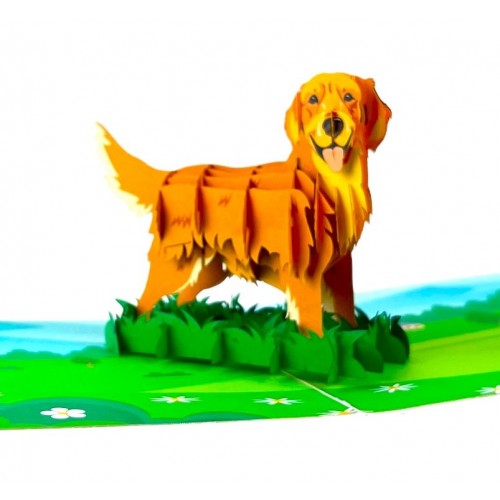 BC Worldwide Ltd Handmade 3D Pop Up Card Golden Retriever Dog Pet Birthday Valentines Mother’s Father's Day New Pet Blank Friendship Greetings
