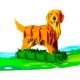 BC Worldwide Ltd Handmade 3D Pop Up Card Golden Retriever Dog Pet Birthday Valentines Mother’s Father's Day New Pet Blank Friendship Greetings