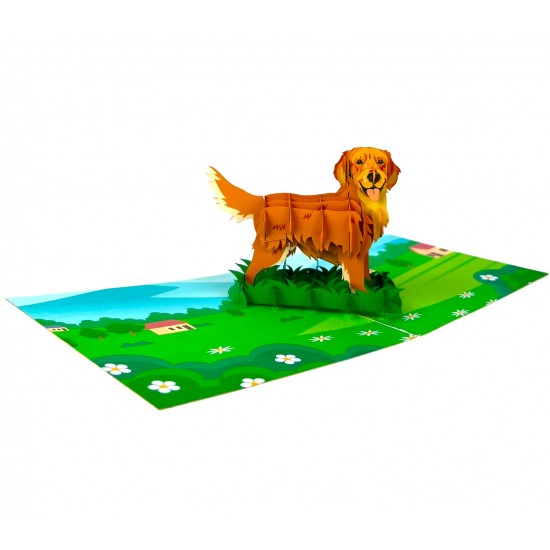 BC Worldwide Ltd Handmade 3D Pop Up Card Golden Retriever Dog Pet Birthday Valentines Mother’s Father's Day New Pet Blank Friendship Greetings
