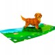 BC Worldwide Ltd Handmade 3D Pop Up Card Golden Retriever Dog Pet Birthday Valentines Mother’s Father's Day New Pet Blank Friendship Greetings