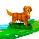BC Worldwide Ltd Handmade 3D Pop Up Card Golden Retriever Dog Pet Birthday Valentines Mother’s Father's Day New Pet Blank Friendship Greetings