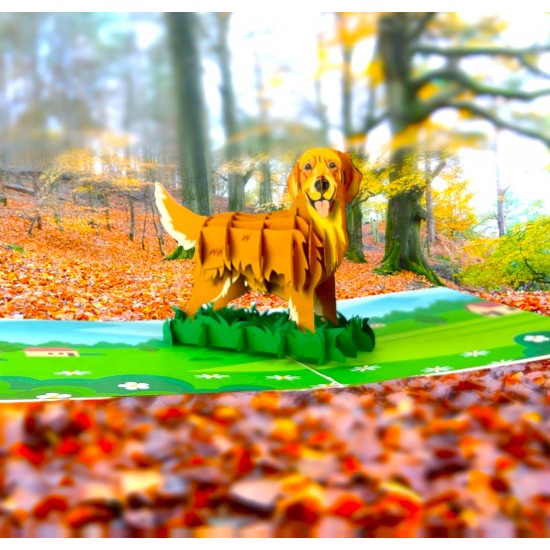 BC Worldwide Ltd Handmade 3D Pop Up Card Golden Retriever Dog Pet Birthday Valentines Mother’s Father's Day New Pet Blank Friendship Greetings