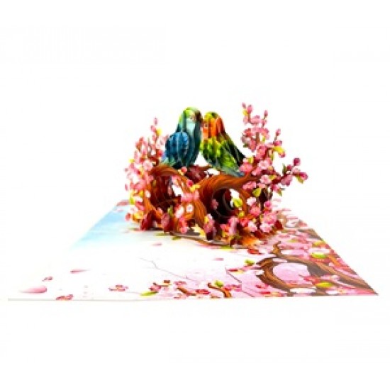 Handmade 3D Pop Up Card Budgie Love Bird Birthday, Valentines, Mothers Day, Wedding Anniversary, New Home, New Pet, Blank