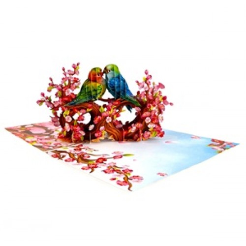 Handmade 3D Pop Up Card Budgie Love Bird Birthday, Valentines, Mothers Day, Wedding Anniversary, New Home, New Pet, Blank