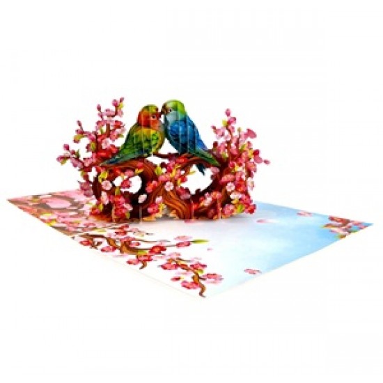 Handmade 3D Pop Up Card Budgie Love Bird Birthday, Valentines, Mothers Day, Wedding Anniversary, New Home, New Pet, Blank