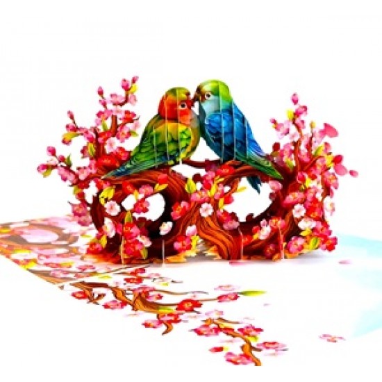 Handmade 3D Pop Up Card Budgie Love Bird Birthday, Valentines, Mothers Day, Wedding Anniversary, New Home, New Pet, Blank