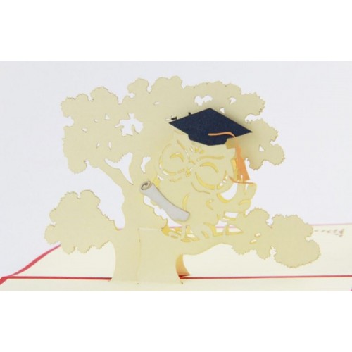 Handmade 3d Pop Up Graduation Card Owl Mortarboards Square Academic Cap Congratulatios Tossing Your Hats Best Friend Partner Boyfriend Child