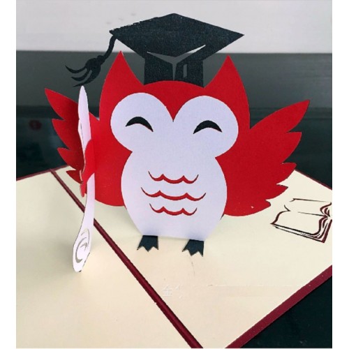 Handmade 3D Pop Up Card Owl Bird Birthday Graduation Celebration Ceremony Congratulations Hat School College University Blank Card for Him Her Friend Family